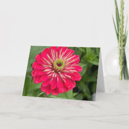 Magenta Zinnia Blank Note Card サンキューカード