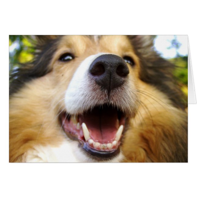 Maggieカード (正面横)