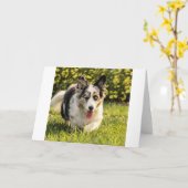 Maggie Mae カード (黄色い花)