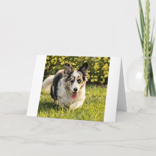 Maggie Mae カード (正面)