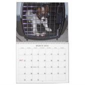 Maggie Mae 2010のカレンダー カレンダー (3月 2026)