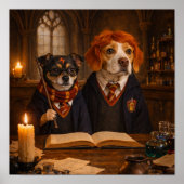 "Magic Research" ポスター (正面)