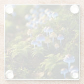 Magical Bioluminescent Fungi - Deep Forest ガラスコースター (裏面)