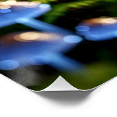 Magical Bioluminescent Fungi - Deep Forest ポスター (コーナー)