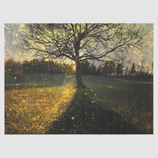 Magical fireflies dreamy landscape 薄葉紙 (正面)