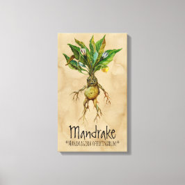 Magical Plants Mandrake 1 12.84インチx 21.93インチキャンバス キャンバスプリント