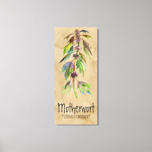 Magical Plants Motherwort 18.30インチx 41.73インチキャンバス キャンバスプリント (正面)