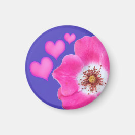 Magnet マグネット