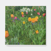 Magnet マグネット (正面)