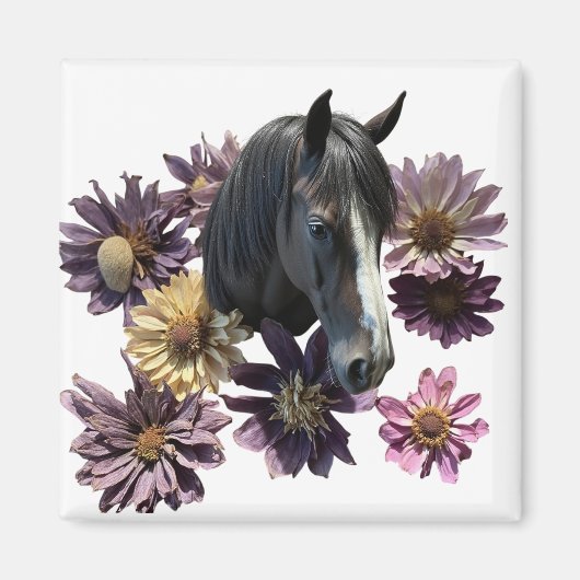 Magnet マグネット (正面)