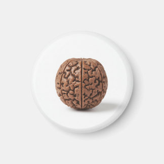 Magnet マグネット