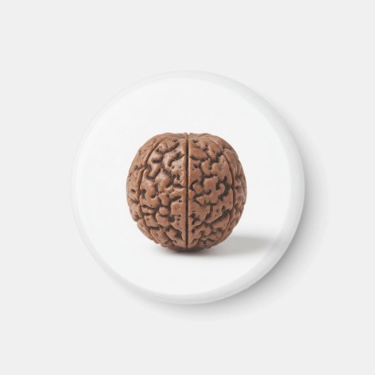 Magnet マグネット (正面)