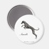 MAGNET Azawakh 2 マグネット (正面/裏面)