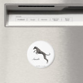 MAGNET Azawakh 2 マグネット (インサイチュ (食洗機))