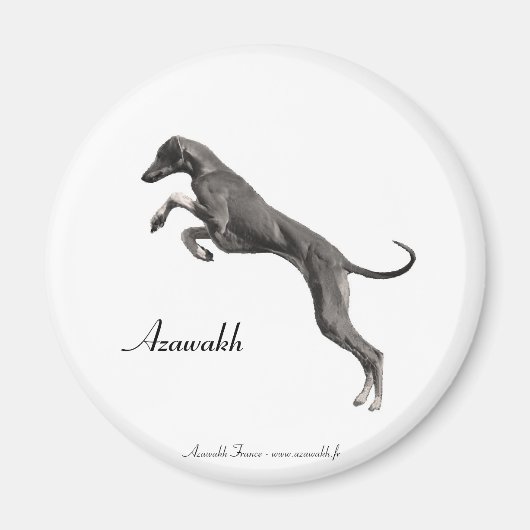 MAGNET Azawakh 2 マグネット (正面)