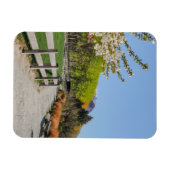 Magnet - backdrop of Walter's peak マグネット (横)