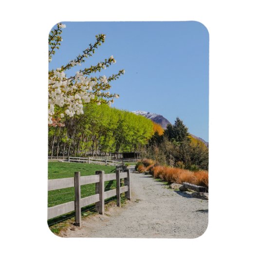 Magnet - backdrop of Walter's peak マグネット (縦)