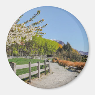 Magnet - backdrop of Walter's peak マグネット