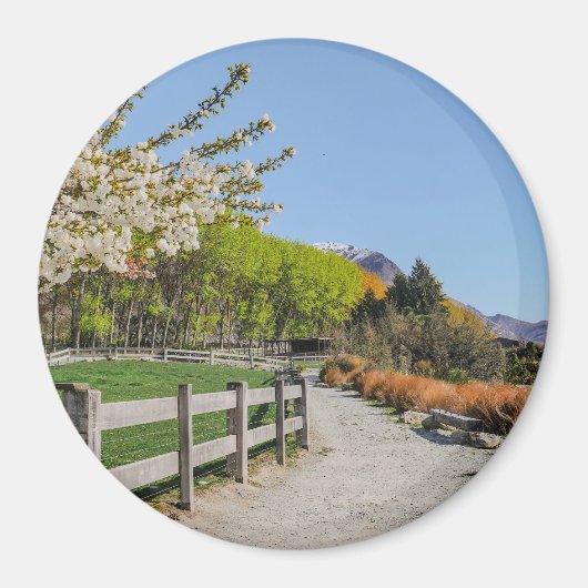 Magnet - backdrop of Walter's peak マグネット (正面)