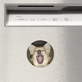 magnet chihuahua photo perso マグネット (インサイチュ (食洗機))