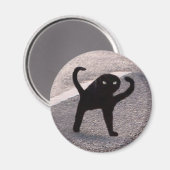 Magnet Cursed Cat Meme マグネット (正面/裏面)