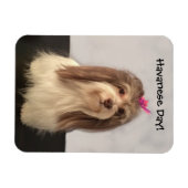 Magnet, HAVANESE DAY! by Nancy リー・ギャレット マグネット (横)