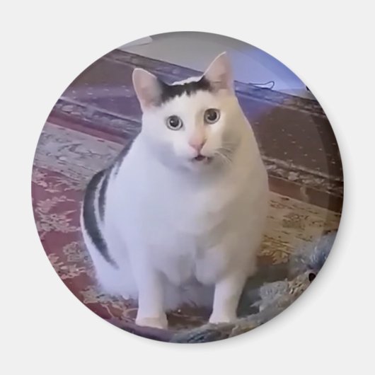 Magnet Huh Cat Meme マグネット (正面)
