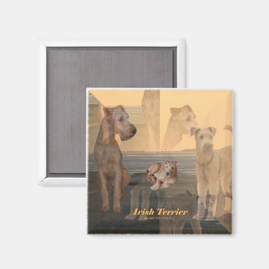 Magnet "Irish Terrier" マグネット (正面/裏面)