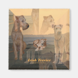 Magnet "Irish Terrier" マグネット