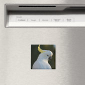 Magnet Kakadu マグネット (インサイチュ (食洗機))