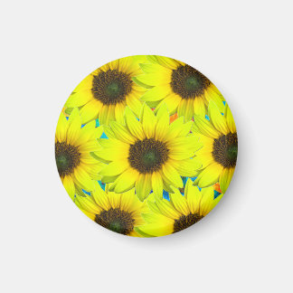 Magnet mit gelben kleinen Sonnenblumenblüten マグネット