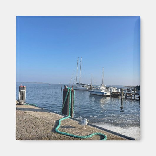 Magnet mit Möwe am Hafenufer マグネット (正面)