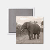 Magnet_OneTusk_Tribute_Kariba マグネット (正面/裏面)