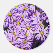 Magnet - purple flowers マグネット (正面)