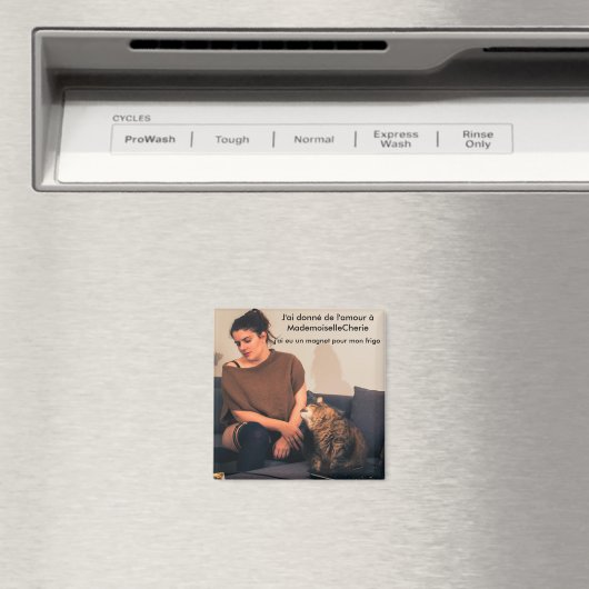 Magnet - semaine 4 マグネット (インサイチュ (食洗機))