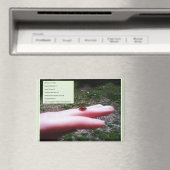 magnet -who we are in Christ マグネット (インサイチュ (食洗機))