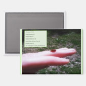 magnet -who we are in Christ マグネット (正面/裏面)