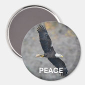 Magnet with Bald Eagle picture and the word Peace マグネット (正面/裏面)