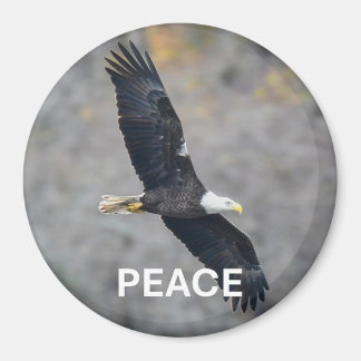 Magnet with Bald Eagle picture and the word Peace マグネット