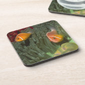 MagnificantのいそぎんちゃくのピンクのAnemonefish コースター (左側)