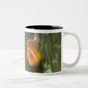 MagnificantのいそぎんちゃくのピンクのAnemonefish ツートーンマグカップ