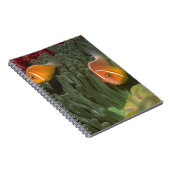 MagnificantのいそぎんちゃくのピンクのAnemonefish ノートブック (右側)