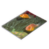 MagnificantのいそぎんちゃくのピンクのAnemonefish ノートブック (左側)