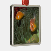 MagnificantのいそぎんちゃくのピンクのAnemonefish メタルオーナメント (右)