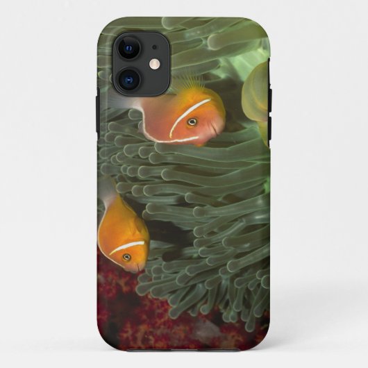 MagnificantのいそぎんちゃくのピンクのAnemonefish Case-Mate iPhoneケース (裏面)