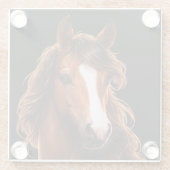 Magnificent, Brown horse with white blaze ガラスコースター (裏面)