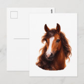 Magnificent, Brown horse with white blaze ポストカード (正面/裏面)