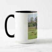 Magnificent Bull Elk Photo on 15oz combo mug マグカップ (左)