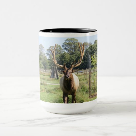 Magnificent Bull Elk Photo on 15oz combo mug マグカップ (中央)