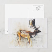 Magnificent Fallow Buck 2006 ポストカード (正面/裏面)